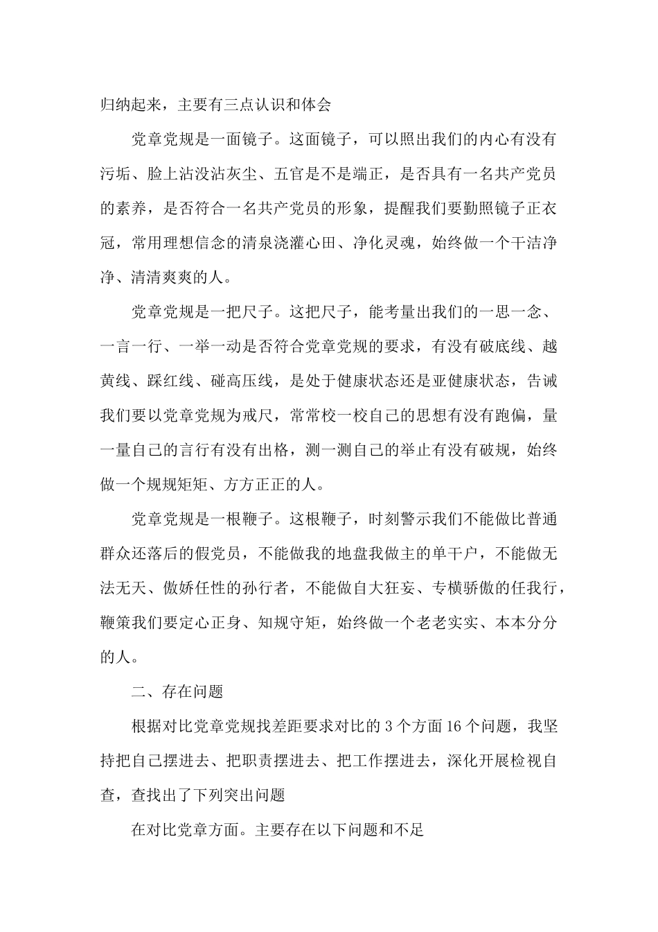 党章存在的问题和整改措施_第2页