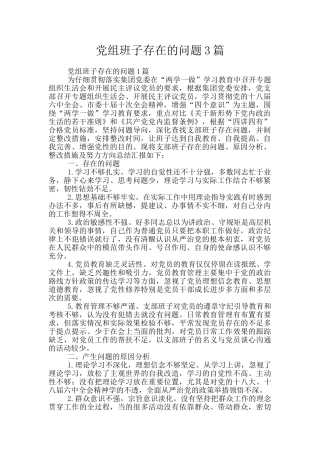 党组班子存在的问题3篇