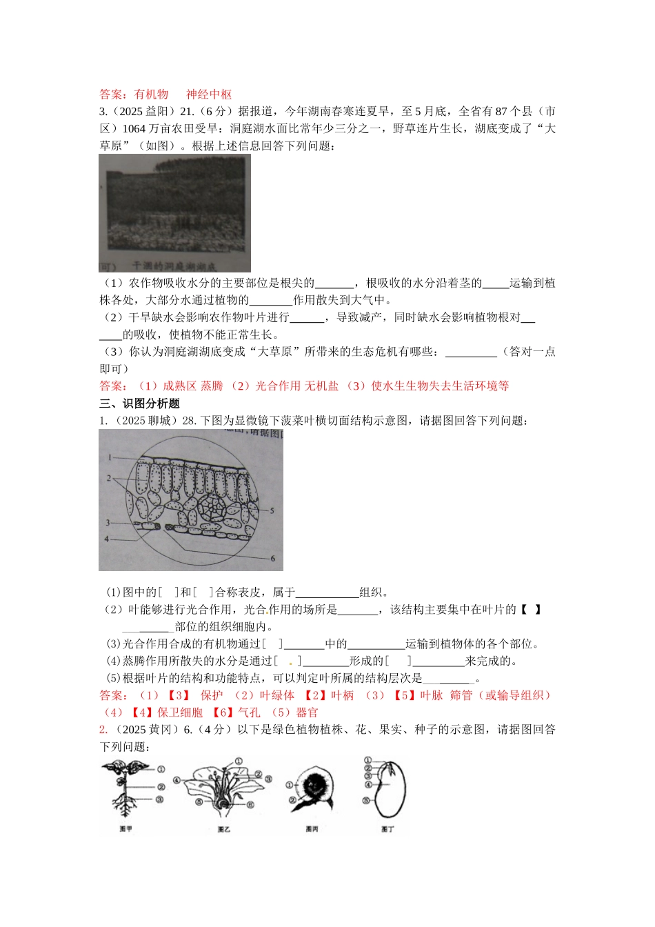 全国各地中考生物试题分类汇编—植物的生长_第3页