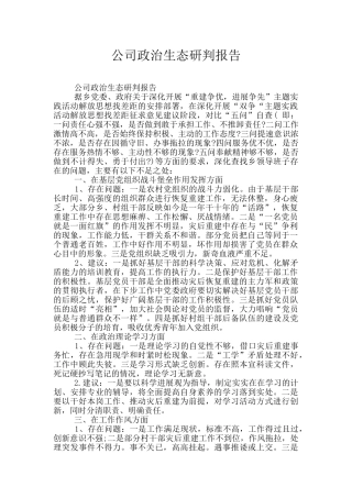 公司政治生态研判报告