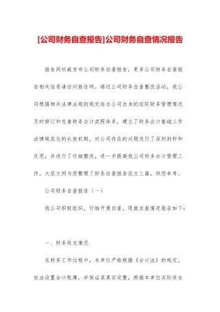 公司财务自查情况报告