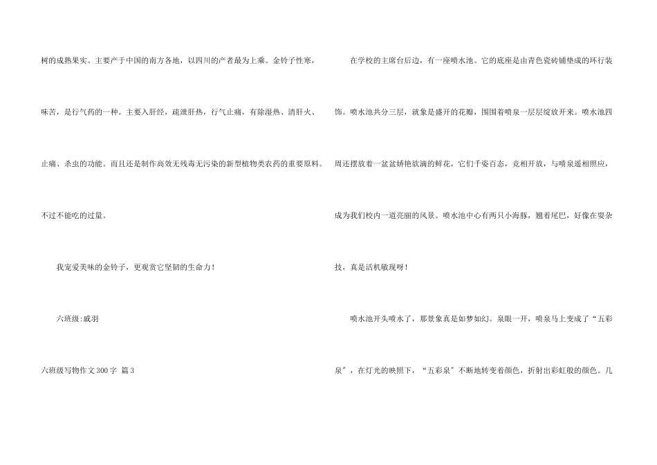 六年级写物300字四篇_第3页