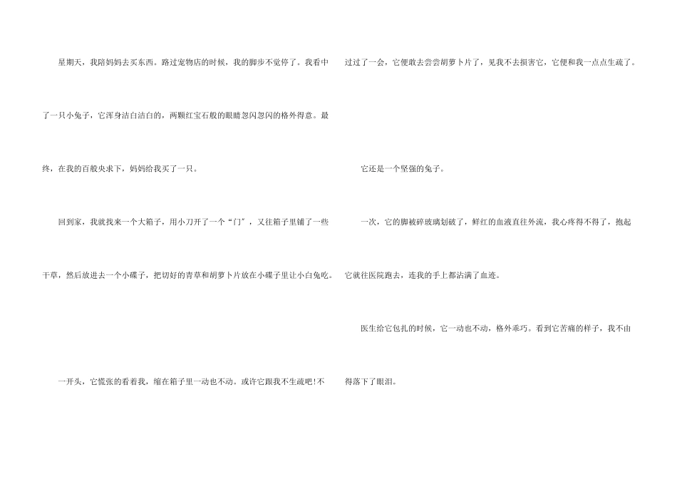 六年级小白兔的故事_第3页