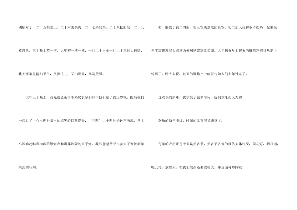 六年级快乐的春节合集六篇_第3页
