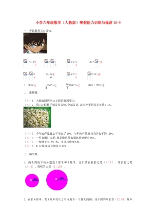六年级数学寒假能力训练与提高15-9-人教版
