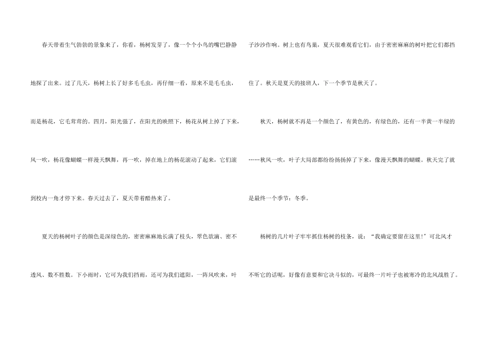 六年级杨树600字_第3页