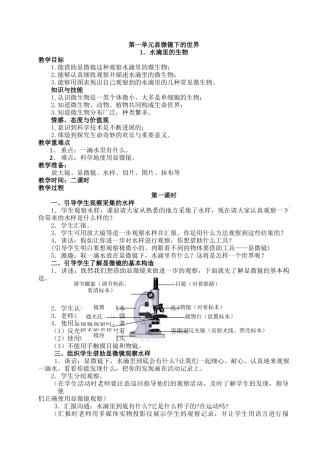 六年级科学上册江苏版