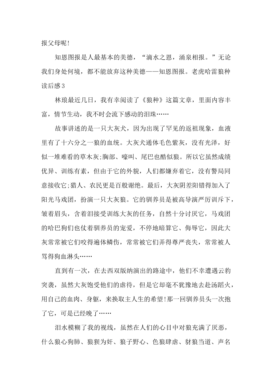 六年级老虎哈雷狼种读后感_第3页