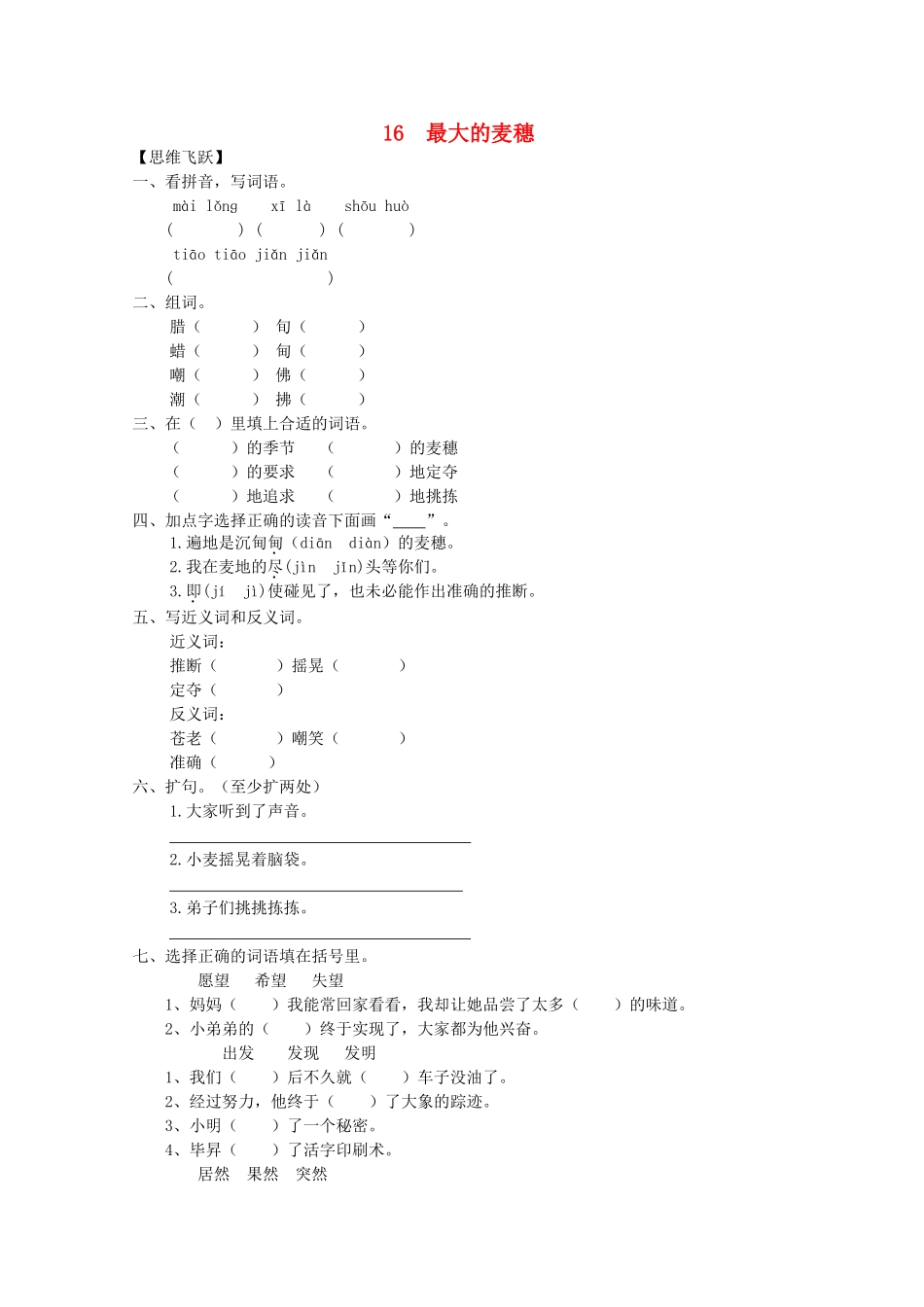 六年级语文下册16-最大的麦穗同步精练-苏教版1_第1页