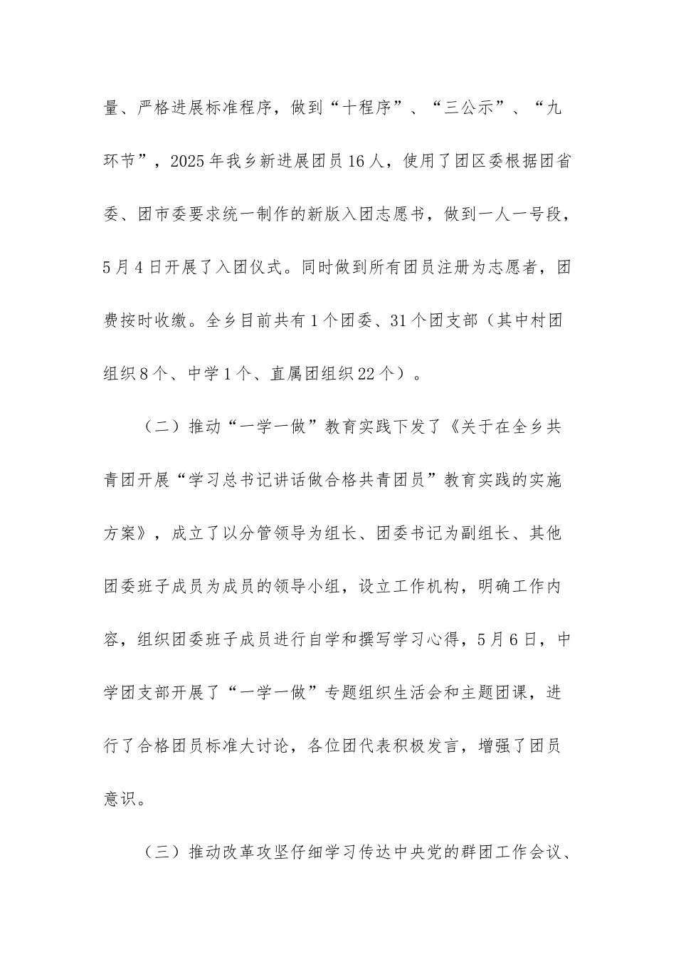 共青团自查报告_第3页