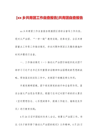 共青团自查报告