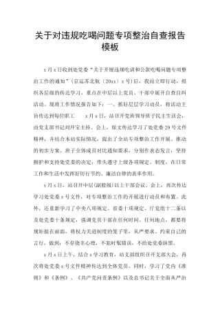 关于对违规吃喝问题专项整治自查报告模板