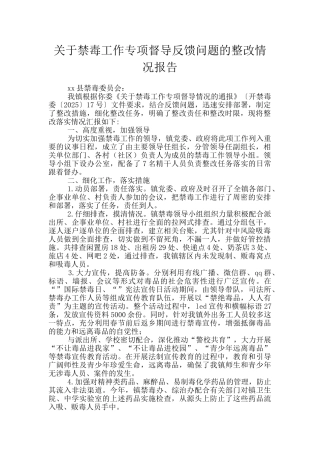 关于禁毒工作专项督导反馈问题的整改情况报告