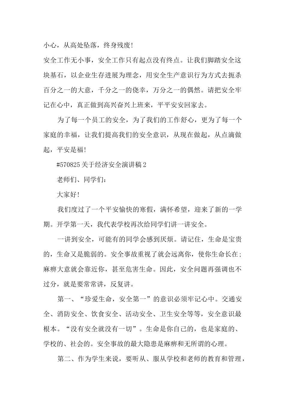 关于经济安全演讲稿5篇范文_第2页