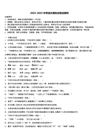 内蒙古呼和浩特实验教育集团中考语文五模试卷含解析