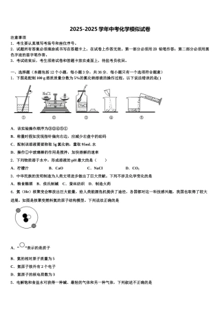内蒙古呼和浩特市重点中学中考化学模试卷含解析