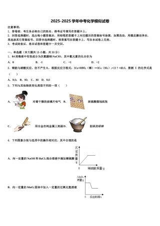 内蒙古巴彦淖尔市临河区中考三模化学试题含解析