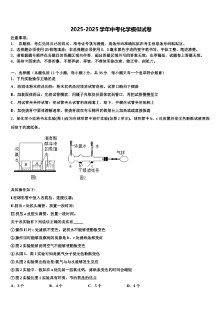 内蒙古巴彦淖尔市磴口县诚仁中学十校联考最后化学试题含解析