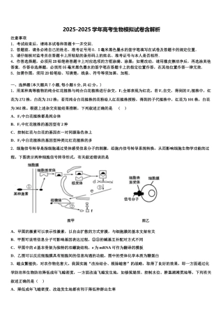 内蒙古正镶白旗察汗淖中学高考生物一模试卷含解析