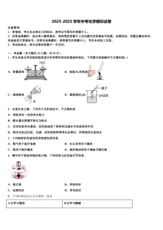 内蒙古洲里市第九中学初中化学毕业考试模拟冲刺卷含解析