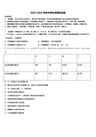 内蒙古满洲里市第五中学中考化学押题卷含解析