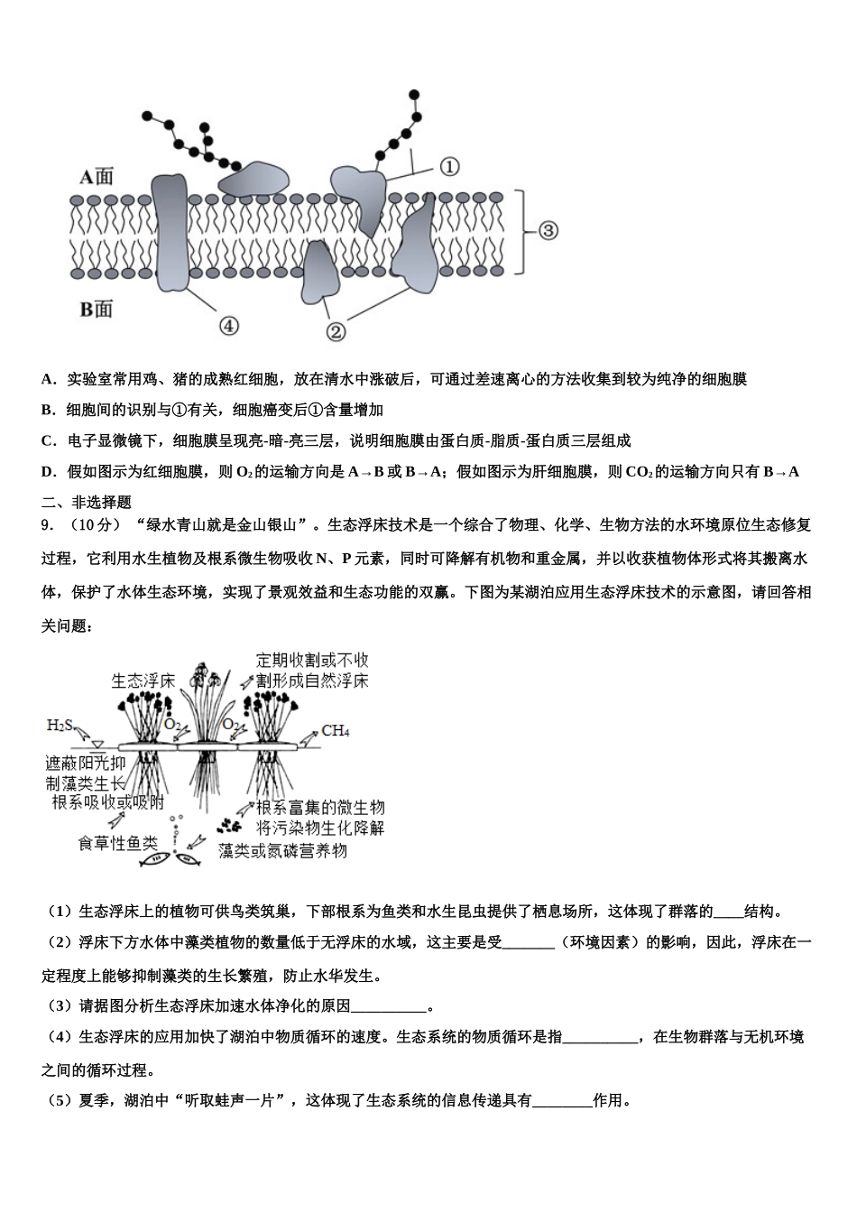 内蒙古自治区包头市第三十三中学高三适应性调研考试生物试题含解析_第3页