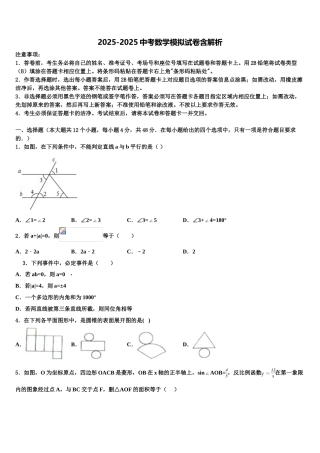 内蒙古自治区通辽市霍林郭勒市中考数学猜题卷含解析