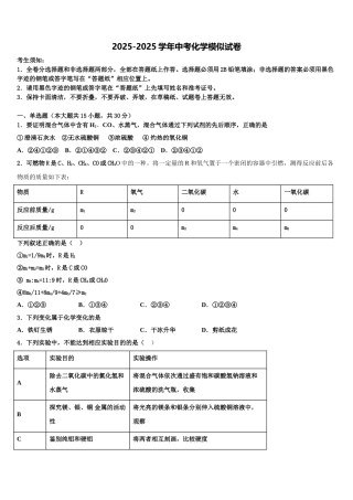 内蒙古通辽市开鲁县重点中学中考三模化学试题含解析