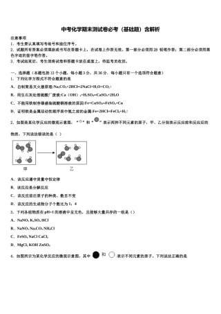 内蒙古阿拉善中考化学模试卷含解析