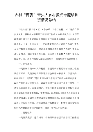 农村“两委”带头人乡村振兴专题培训班情况总结