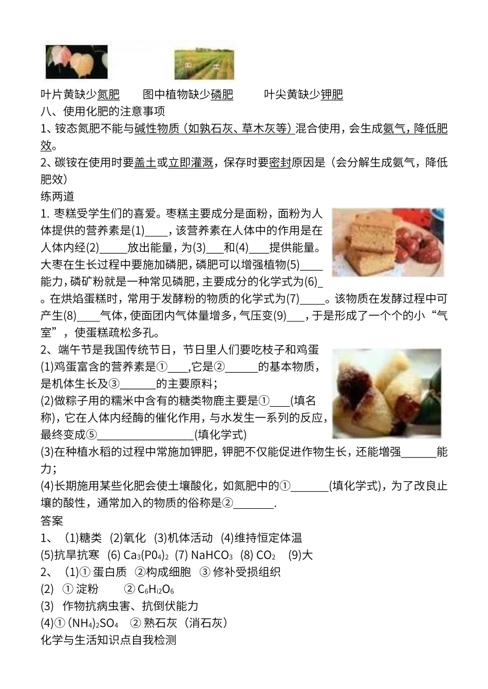 初中化学——化学与生活_第2页