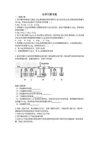 初中化学技巧性计算专题