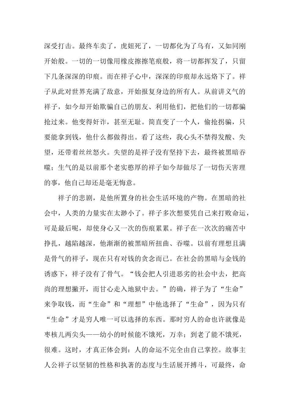 初中生假期骆驼祥子读后感大全_第3页