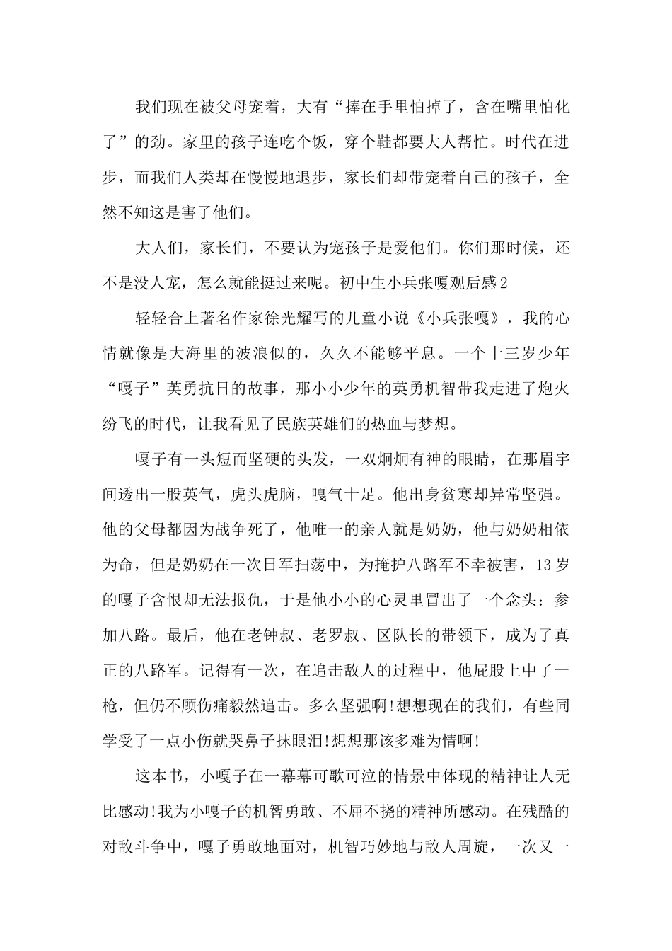初中生小兵张嗄观后感_第2页