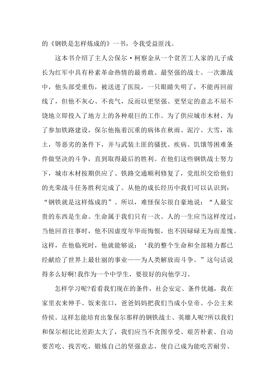初中钢铁是怎样炼成的读书笔记5篇_第3页