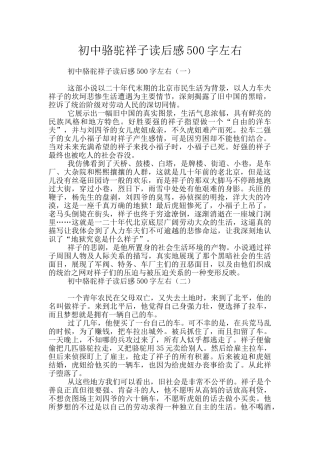 初中骆驼祥子读后感500字左右