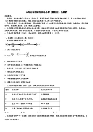 北京十一中学分校中考联考化学试题含解析