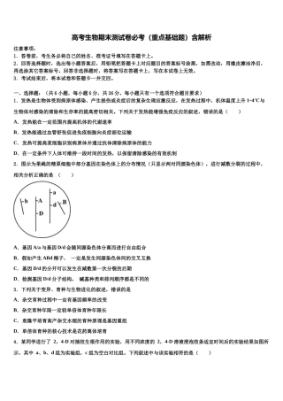 北京市101中学高三二诊模拟考试生物试卷含解析