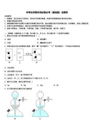 北京市一六一中学毕业升学考试模拟卷化学卷含解析