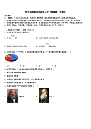 北京市崇文区重点达标名校中考化学适应性模拟试题含解析