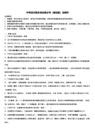 北京市工大附中中考语文适应性模拟试题含解析