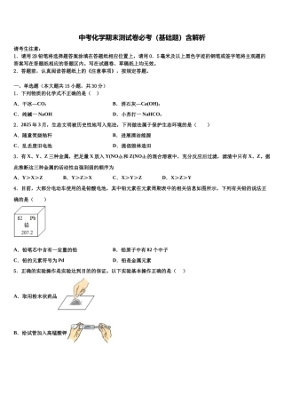 北京市昌平二中学南校区中考二模化学试题含解析
