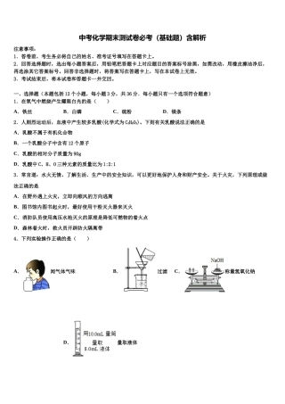 北京市海淀区101中学中考化学猜题卷含解析