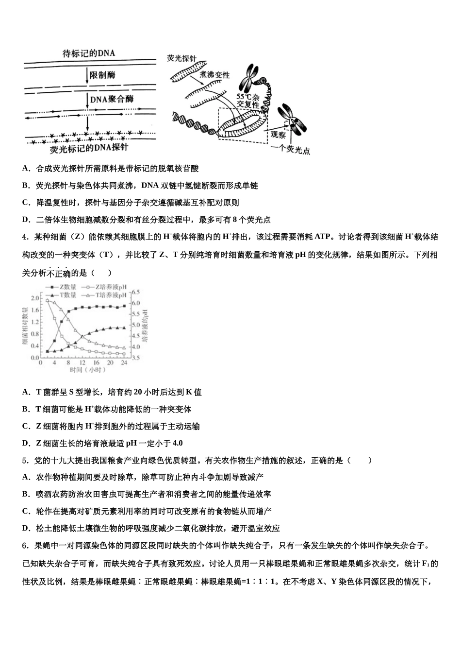 北京市牛山一中高三适应性调研考试生物试题含解析_第2页