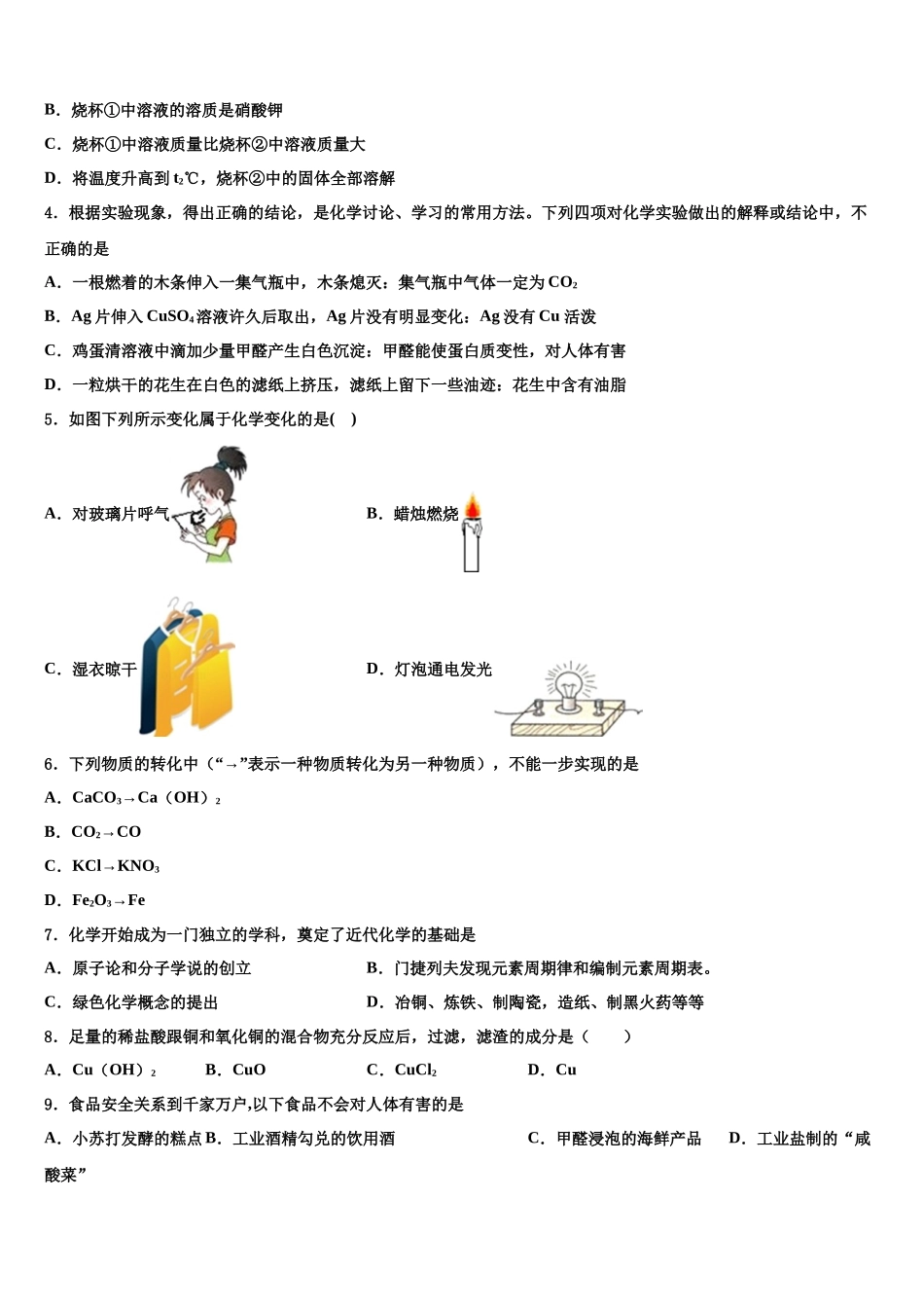 北京市西城区北师大附属实验中学中考化学模拟精编试卷含解析_第2页