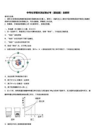 北京市西城区北师大附属实验中学中考化学模拟精编试卷含解析