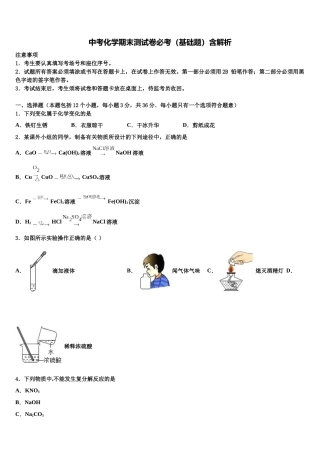 北京市西城区北师大附属实验中学中考化学适应性模拟试题含解析