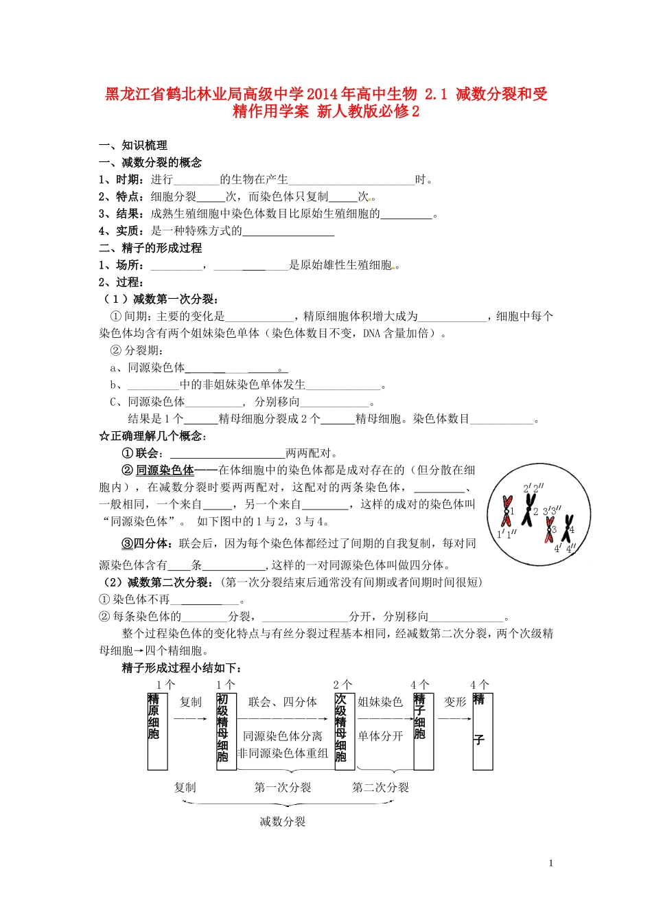 黑龙江省鹤北林业局高级中学2014年高中生物 2.1 减数分裂和受精作用学案 新人教版必修2_第1页