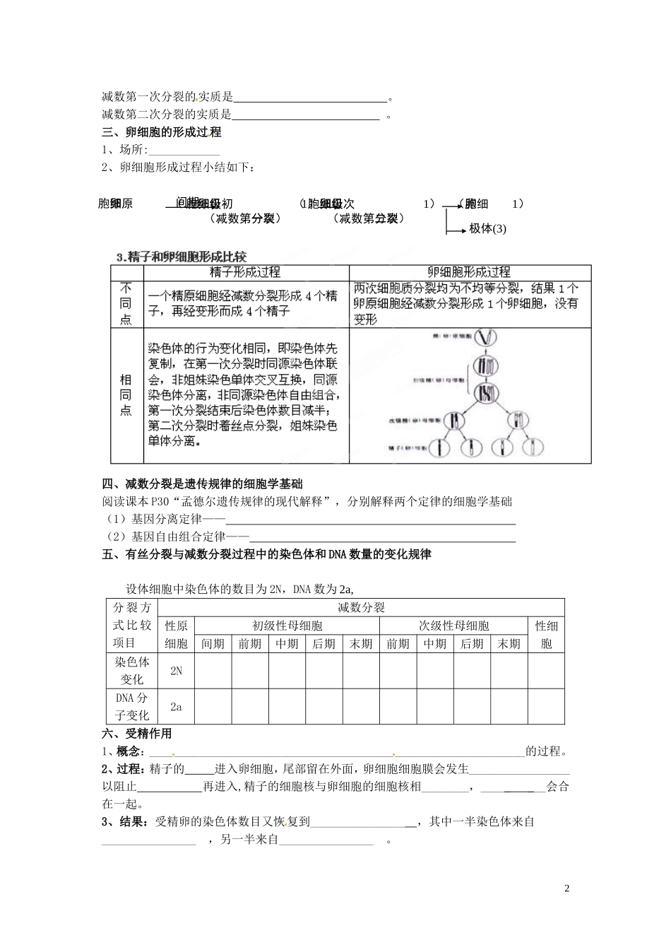 黑龙江省鹤北林业局高级中学2014年高中生物 2.1 减数分裂和受精作用学案 新人教版必修2_第2页