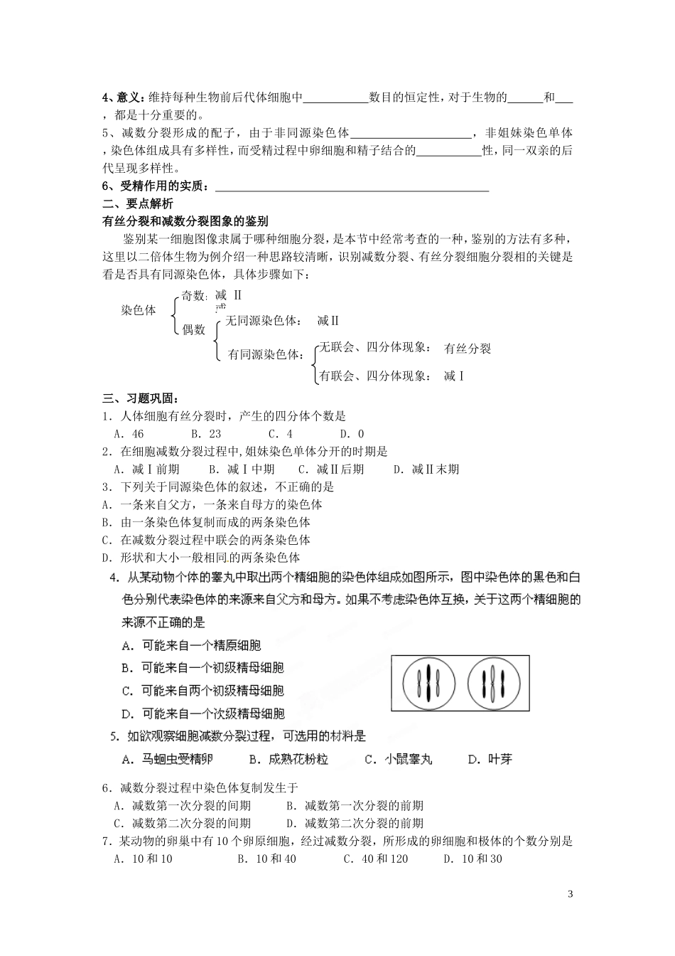 黑龙江省鹤北林业局高级中学2014年高中生物 2.1 减数分裂和受精作用学案 新人教版必修2_第3页